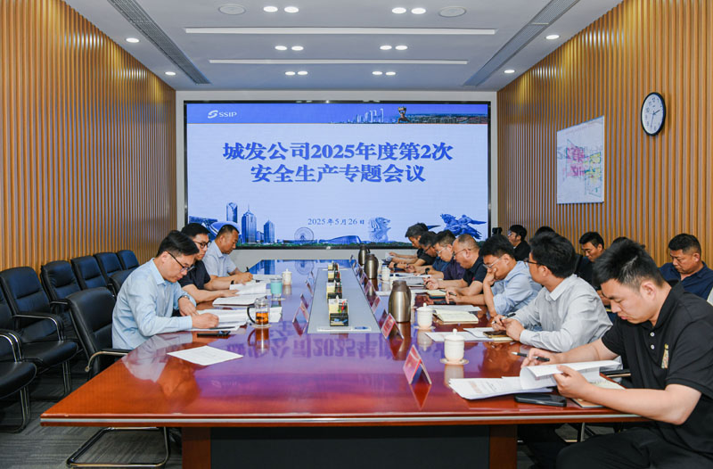 城發(fā)公司召開2025年度第2次安全生產(chǎn)專題會議